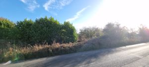 Photo 5- click for photo gallery